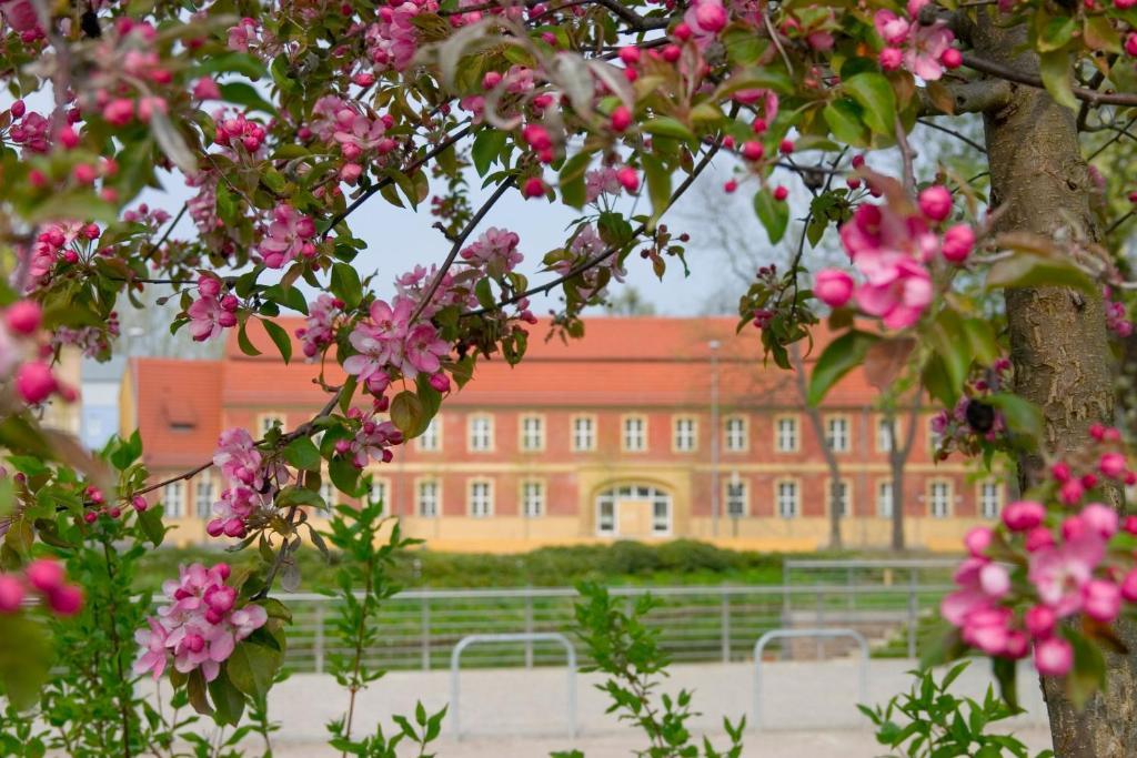 Hotel Vierseithof Luckenwalde Buitenkant foto